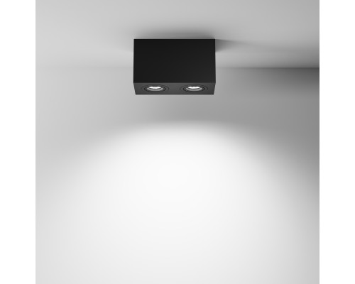 Потолочный светильник Technical C017CL-02B