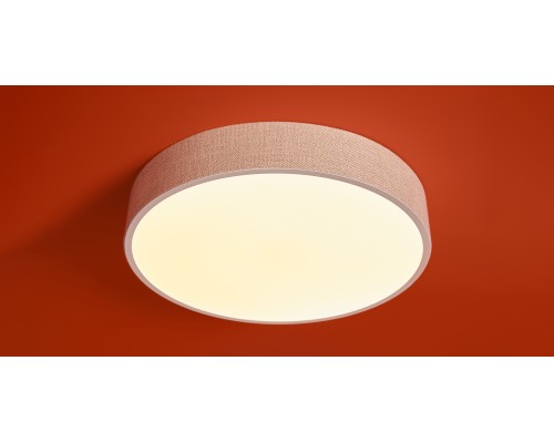 Потолочный светильник Freya FR5555CL-L30BGG