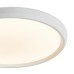 Потолочный светильник Freya FR6211CL-L24W