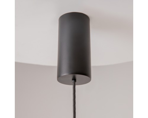 Подвесной светильник Maytoni MOD263PL-L20B3K