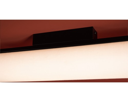 Потолочный светильник Freya FR5625CL-L20B