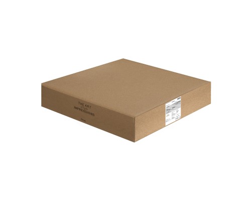 Потолочный светильник Freya FR10026CL-L93G