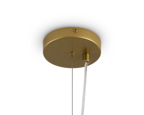 Потолочный светильник Freya FR5584CL-L45G