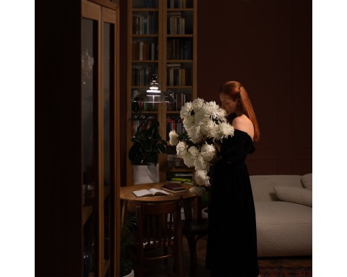 Подвесной светильник Maytoni MOD185PL-L6B3K3