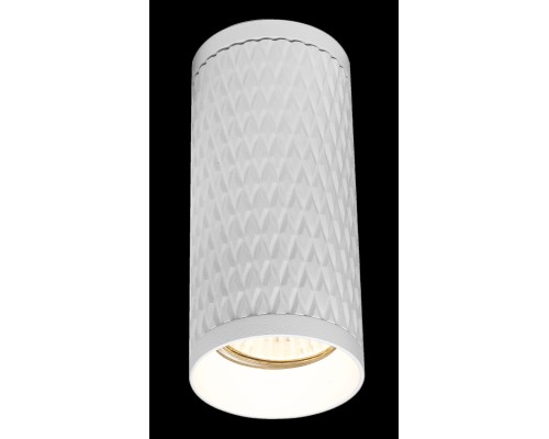 Потолочный светильник Technical C036CL-01W