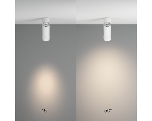 Потолочный светильник Technical C055CL-L12W4K-Z-W