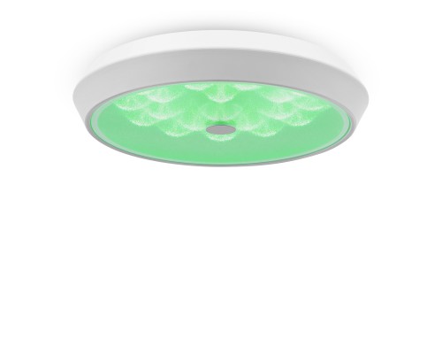 Потолочная светодиодная люстра Freya Cells FR10012CL-L24W