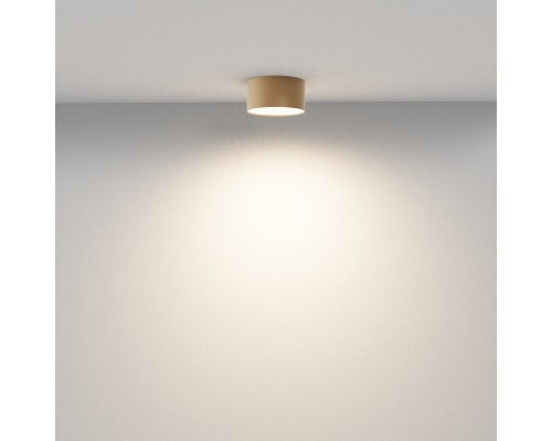 Потолочный светильник Technical C032CL-12W3K-RD-MG