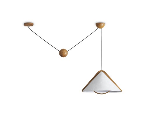 Потолочный светильник Freya FR5554CL-01T