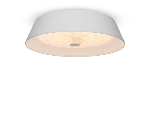 Потолочный светильник Freya FR10013CL-L24W