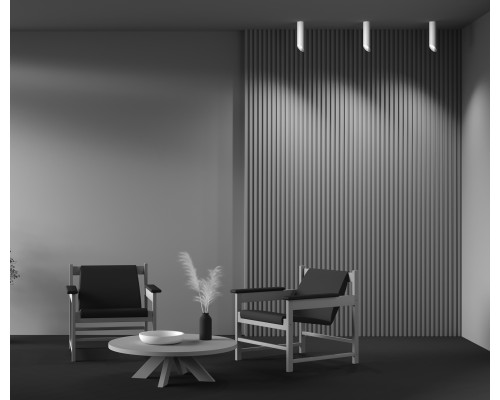 Потолочный светильник Technical C044CL-01-25GU10-W