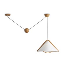 Потолочный светильник Freya FR5554CL-01T