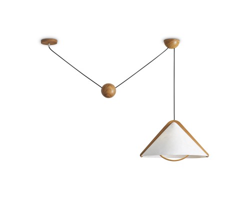 Потолочный светильник Freya FR5554CL-01T