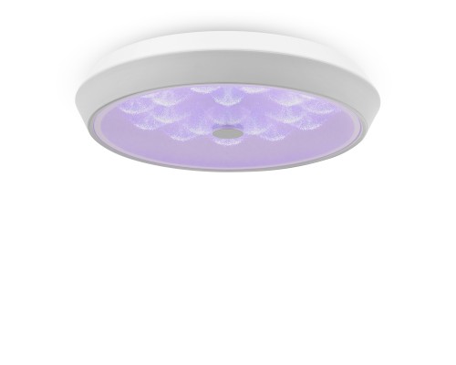 Потолочная светодиодная люстра Freya Cells FR10012CL-L24W