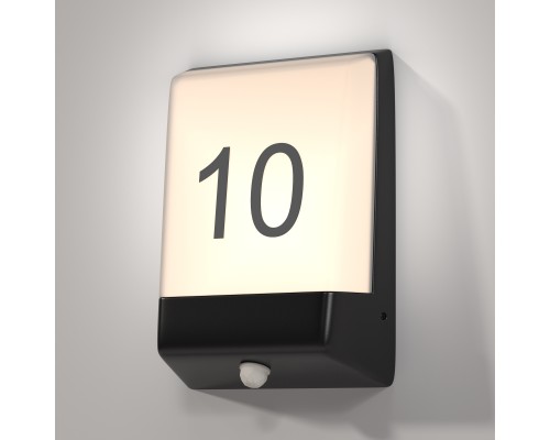 Настенный светильник (бра) Outdoor O448WL-L9GF3KSR