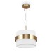Подвесной светильник Freya FR5367PL-01BS