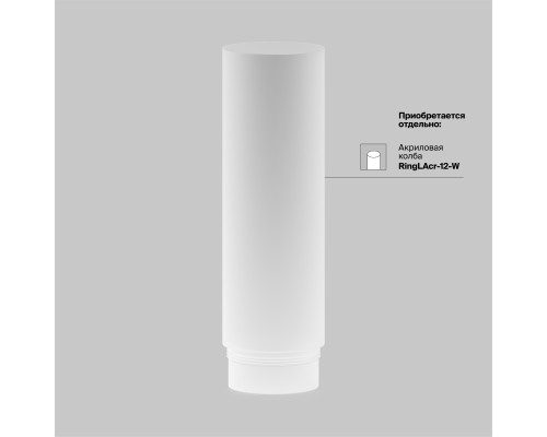 Потолочный светильник Technical C056CL-L12W3K-W-BS