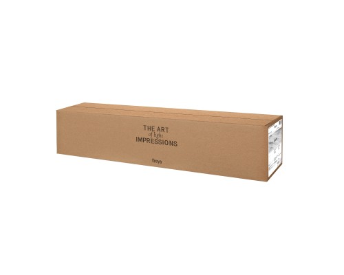 Настенный светильник (бра) Freya FR6109WL-02G