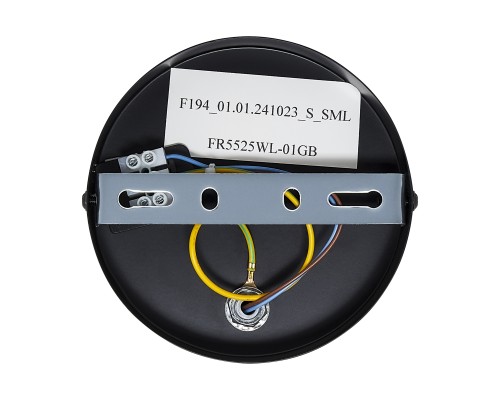 Настенный светильник (бра) Freya FR5525WL-01GB
