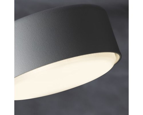 Потолочный светильник Freya FR5363CL-02W1