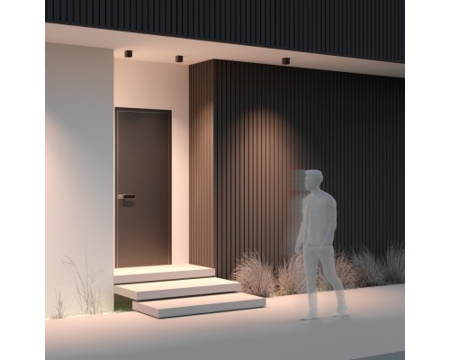 Потолочный светильник Outdoor O309CL-L8GF3K