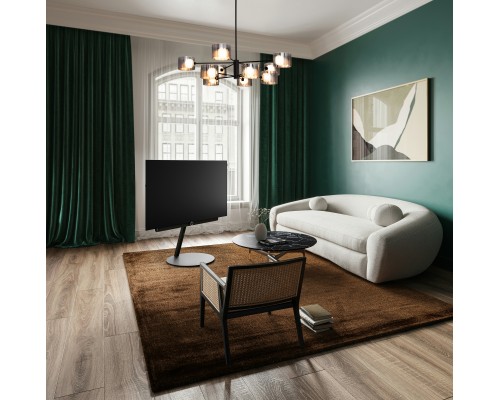 Потолочный светильник Freya FR5544CL-10B