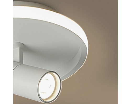 Потолочный светильник Freya FR6040CL-L14W