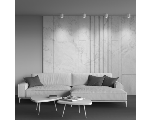 Потолочный светильник Technical C011CL-01W