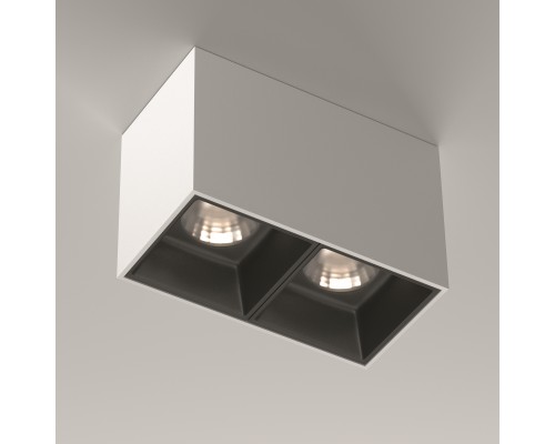 Потолочный светильник Technical C065CL-02-L12W4K-W