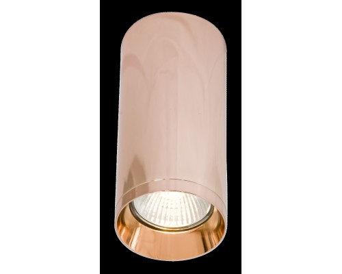 Потолочный светильник Technical C010CL-01RG