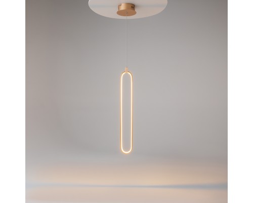 Подвесной светильник Maytoni MOD017PL-L13G