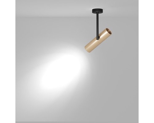 Потолочный светильник Technical C020CL-01GB