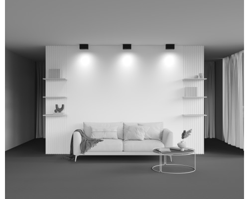 Потолочный светильник Technical C017CL-02B