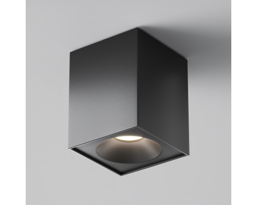 Потолочный светильник Technical C030CL-01B