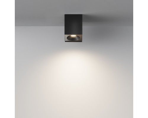 Потолочный светильник Technical C030CL-01B