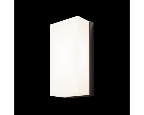 Настенный светильник (бра) Outdoor O454WL-L10GF3K