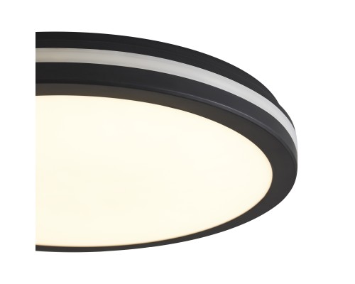 Потолочный светильник Freya FR6160CL-L40B
