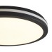 Потолочный светильник Freya FR6160CL-L40B