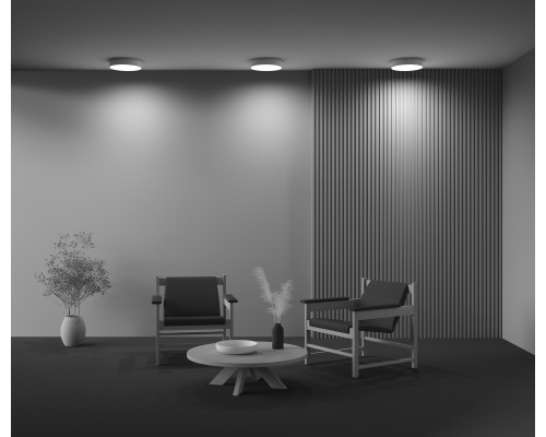 Потолочный светильник Technical C032CL-36W3K-RD-W