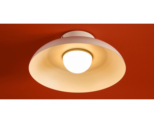 Потолочный светильник Freya FR5602CL-L10W