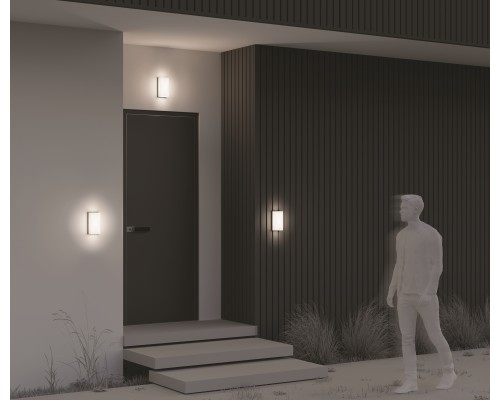 Настенный светильник (бра) Outdoor O454WL-L10GF3K