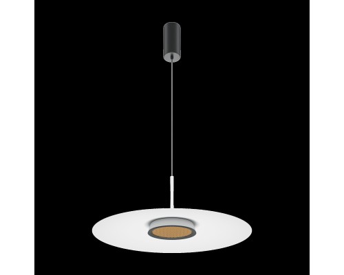 Подвесной светильник Maytoni MOD041PL-L15W3K1