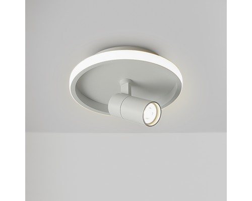 Потолочный светильник Freya FR6040CL-L14W