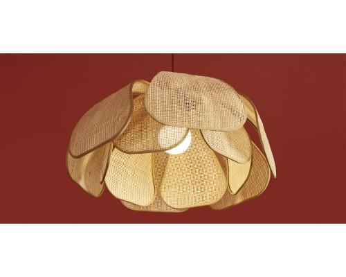 Подвесной светильник Freya FR5529PL-01B