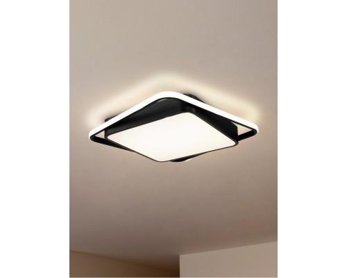 Потолочный светильник Freya FR10030CL-L88B