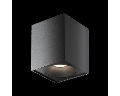 Потолочный светильник Technical C030CL-01B