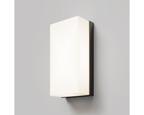 Настенный светильник (бра) Outdoor O454WL-L10GF3K