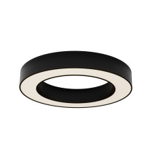 Потолочный светильник Technical C093CL-36W3K-B