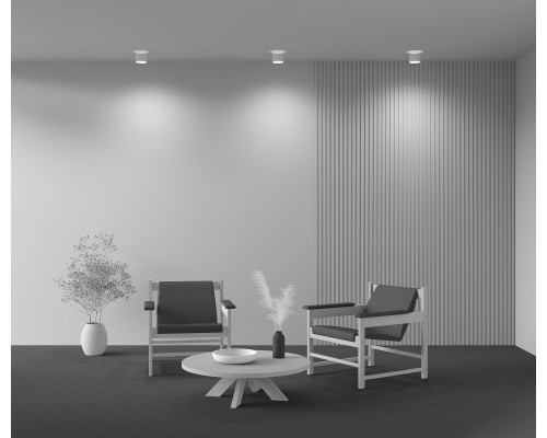 Потолочный светильник Technical C009CW-L12W4K