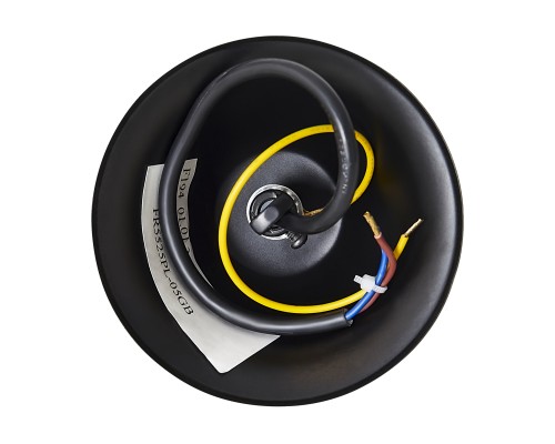 Люстра Freya FR5525PL-05GB